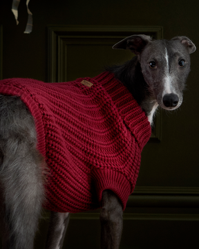 12 Days of Tartan: Day 7