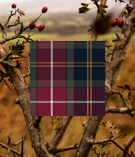 Winterberry Tartan