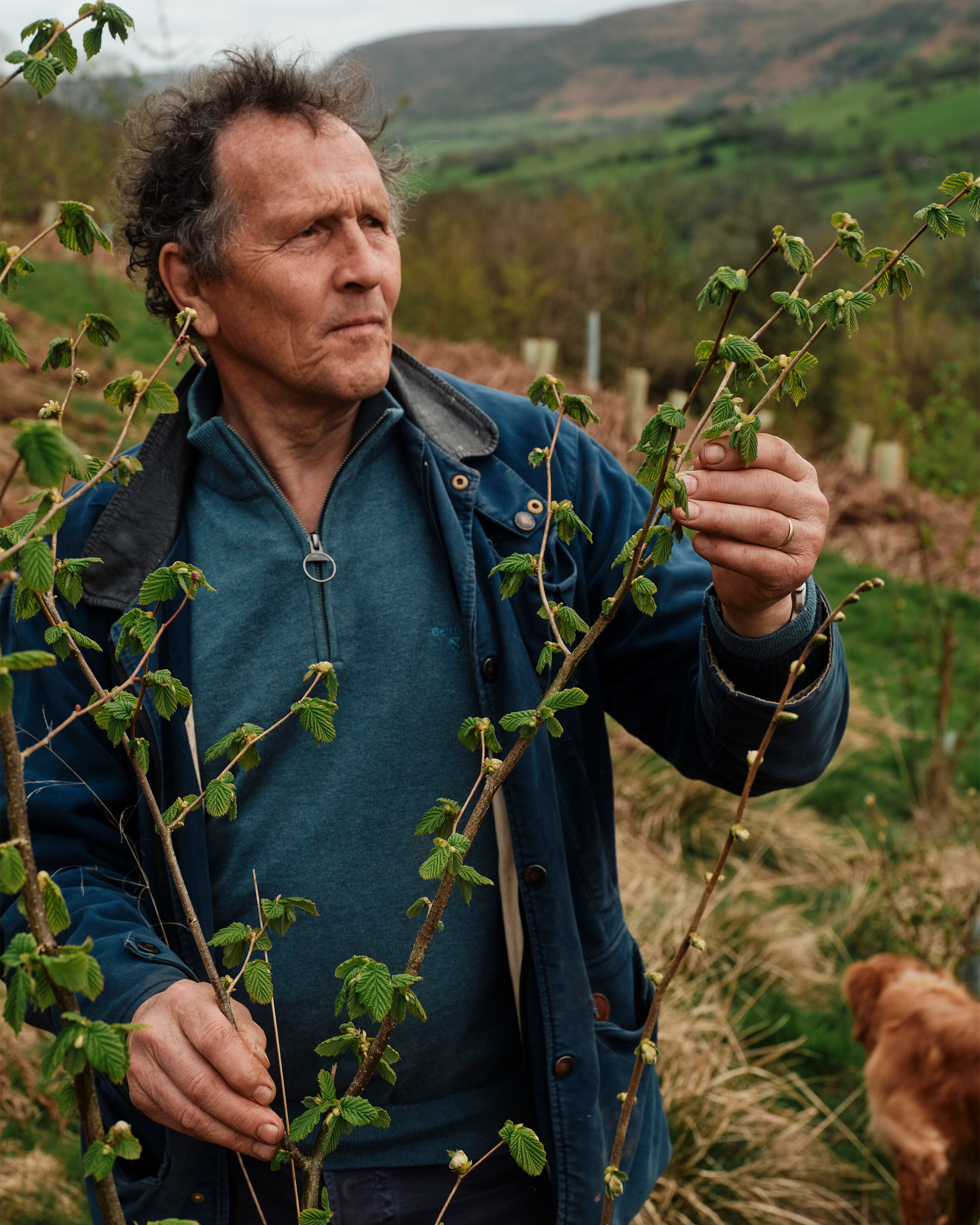 Monty Don
