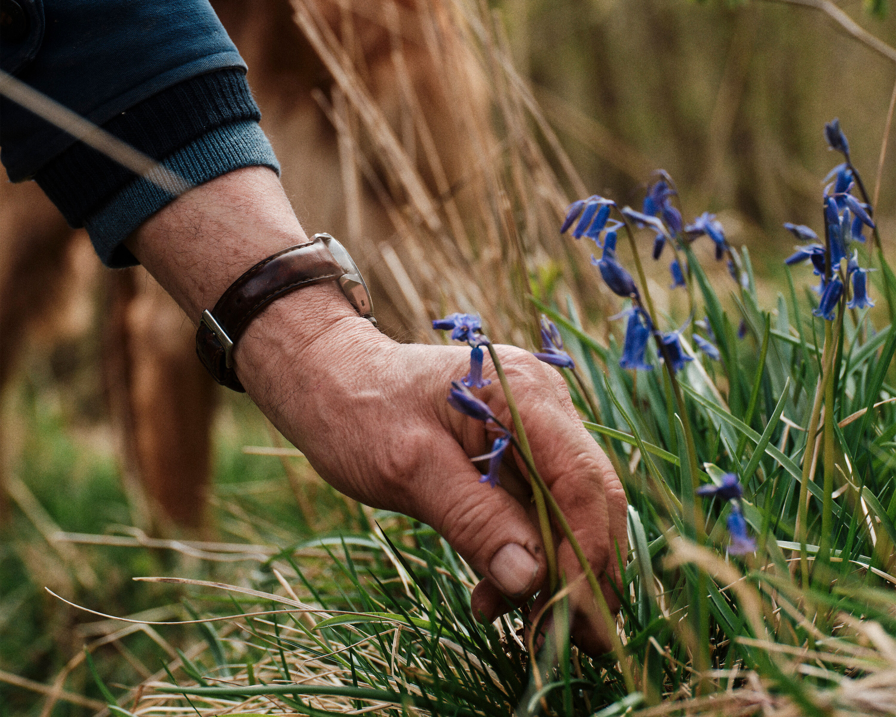Barbour Way of Life - Nurtured by Nature
