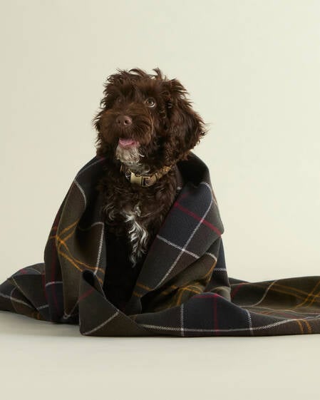 Tartan Blanket