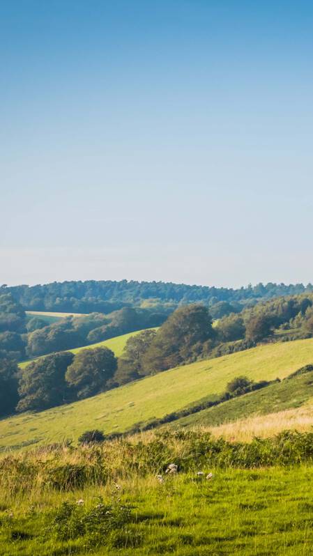 Countryside Image