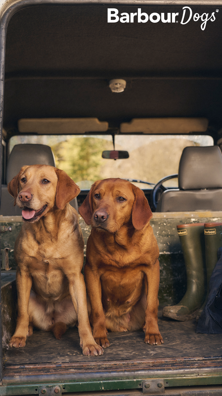 Barbour Dogs