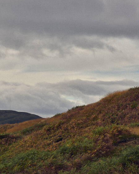 Landscape Image