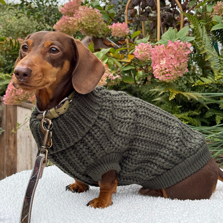 Barbour Dogs - Frank