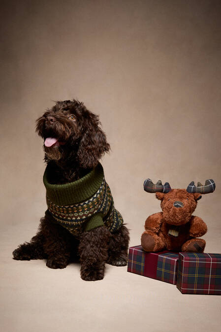 Gifts for Dogs