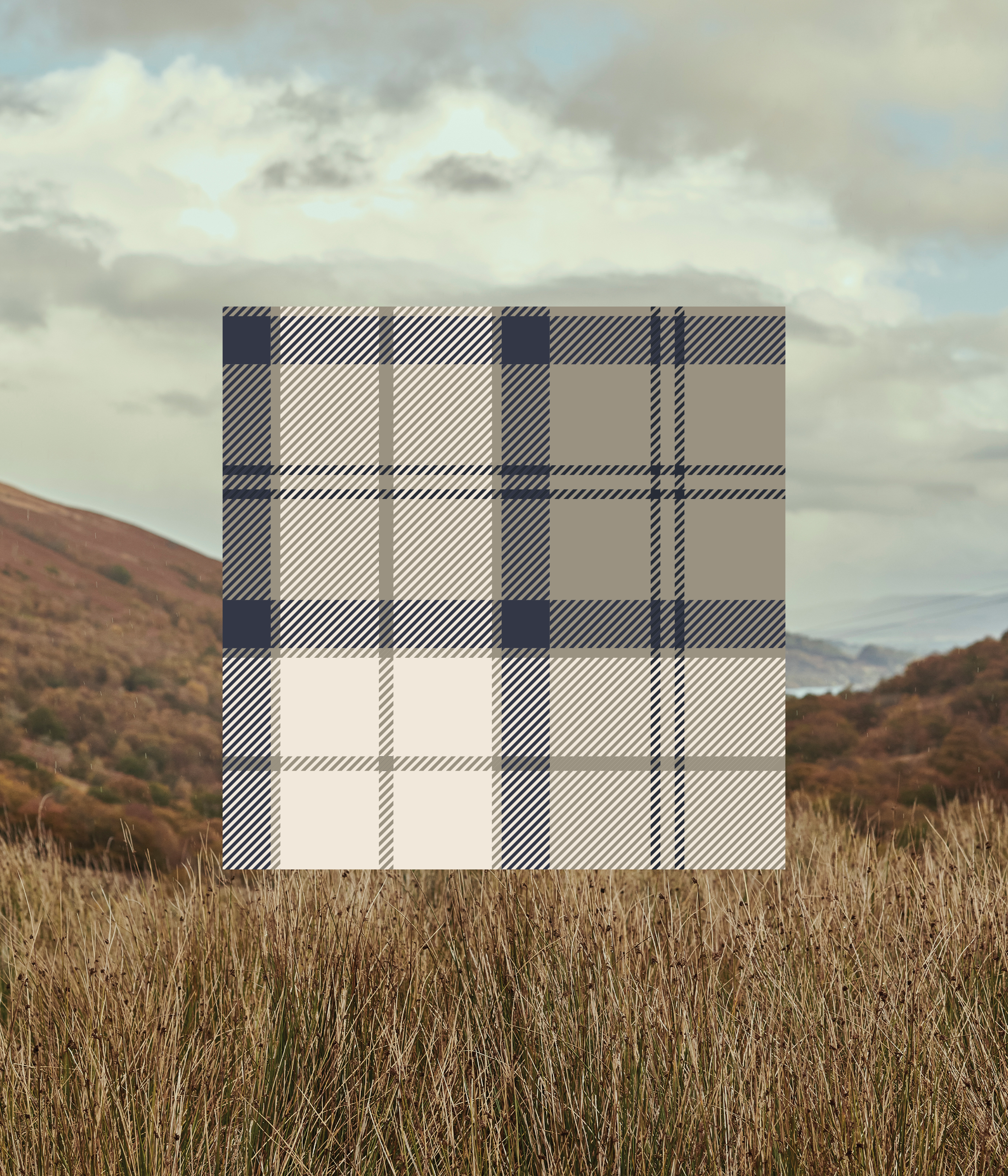 Dress Navy Tartan