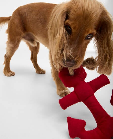 Dog Anchor Toy Red