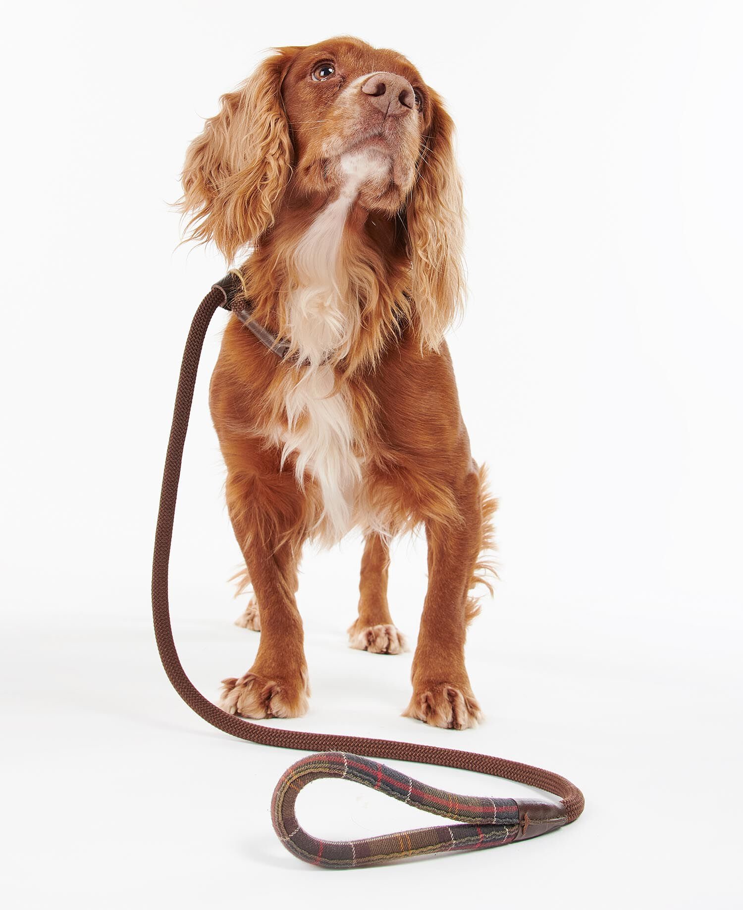 Tartan Trimmed Slip Lead Classic Tartan