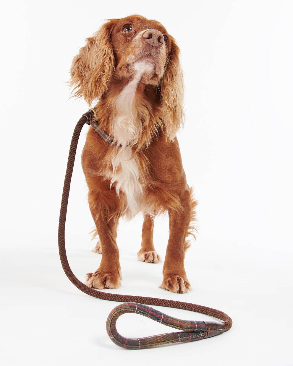 Tartan Trimmed Slip Lead