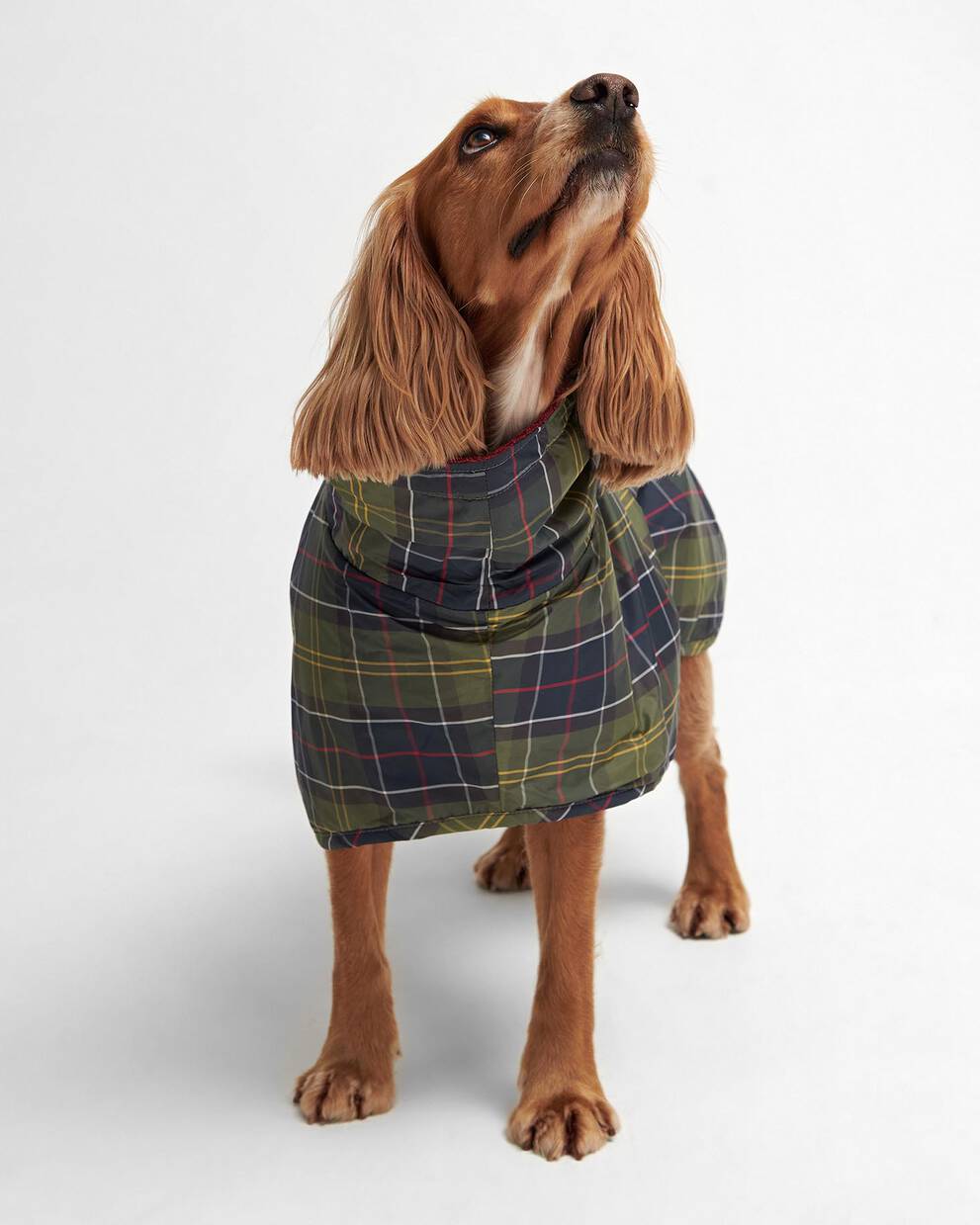 Tartan Dog Drying Robe