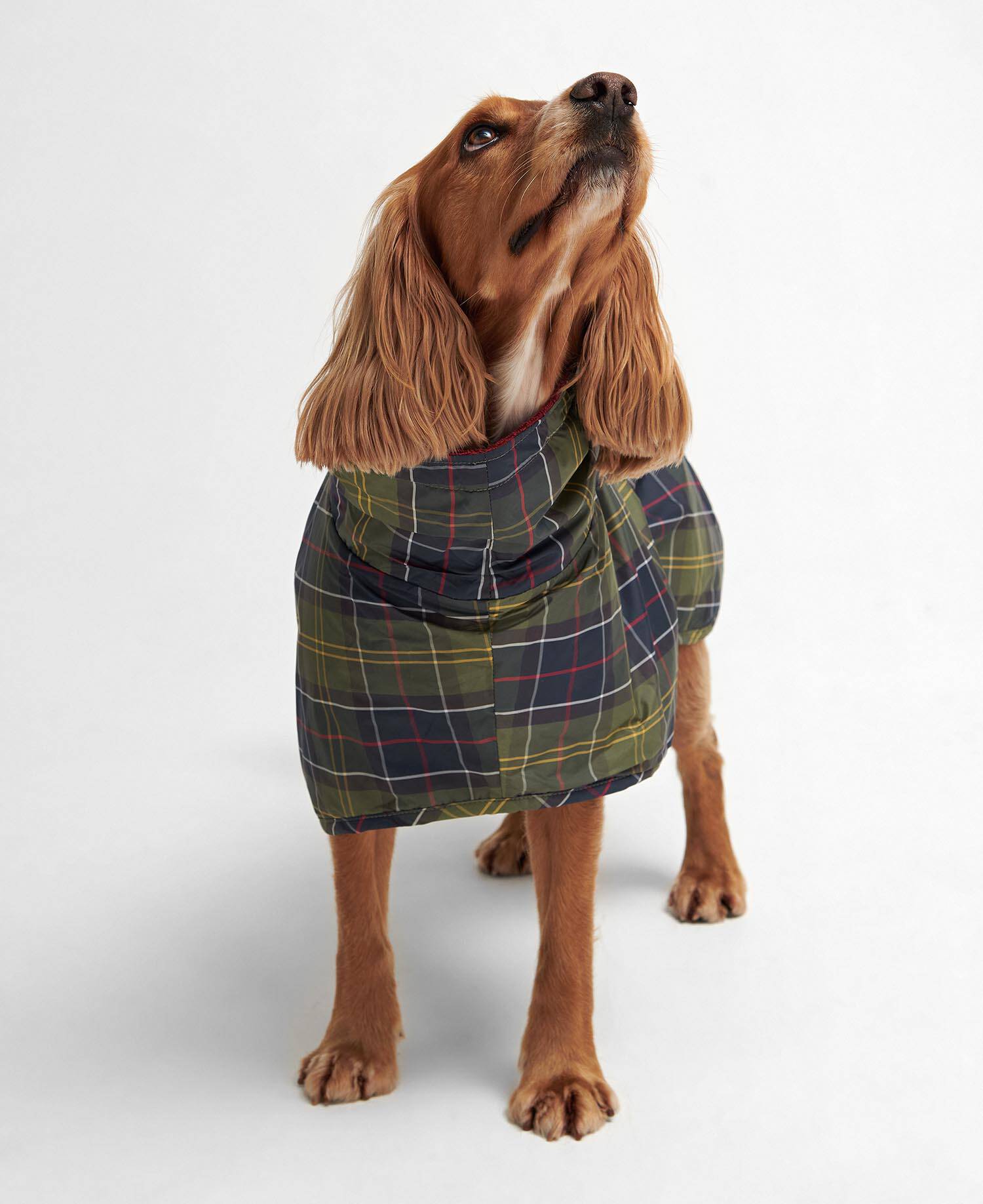Tartan Dog Drying Robe image number 3