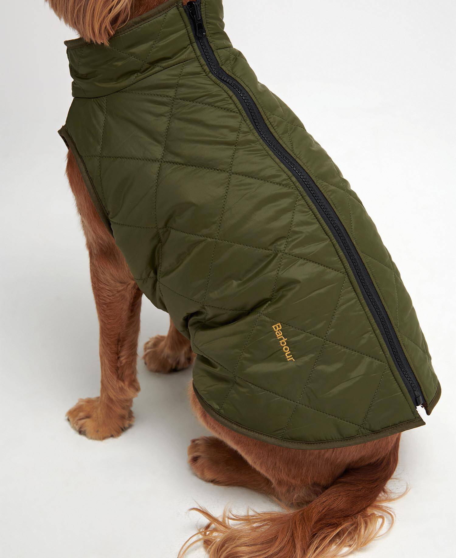 Reversible Quilted Dog Coat image number 4