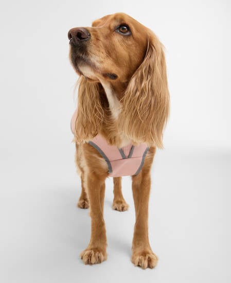 Evie Waterproof Dog Coat Gardenia Pink