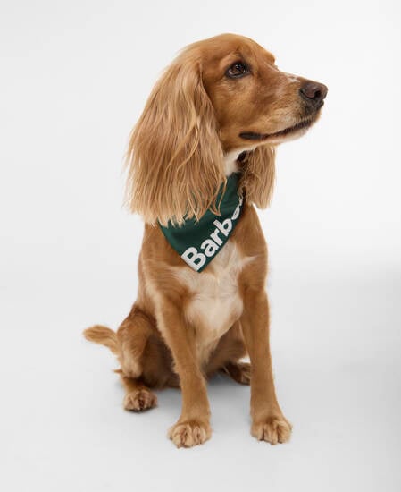 Hundebandana Logo Green