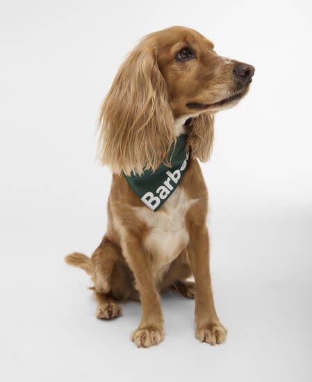 Logo Dog Bandana Green