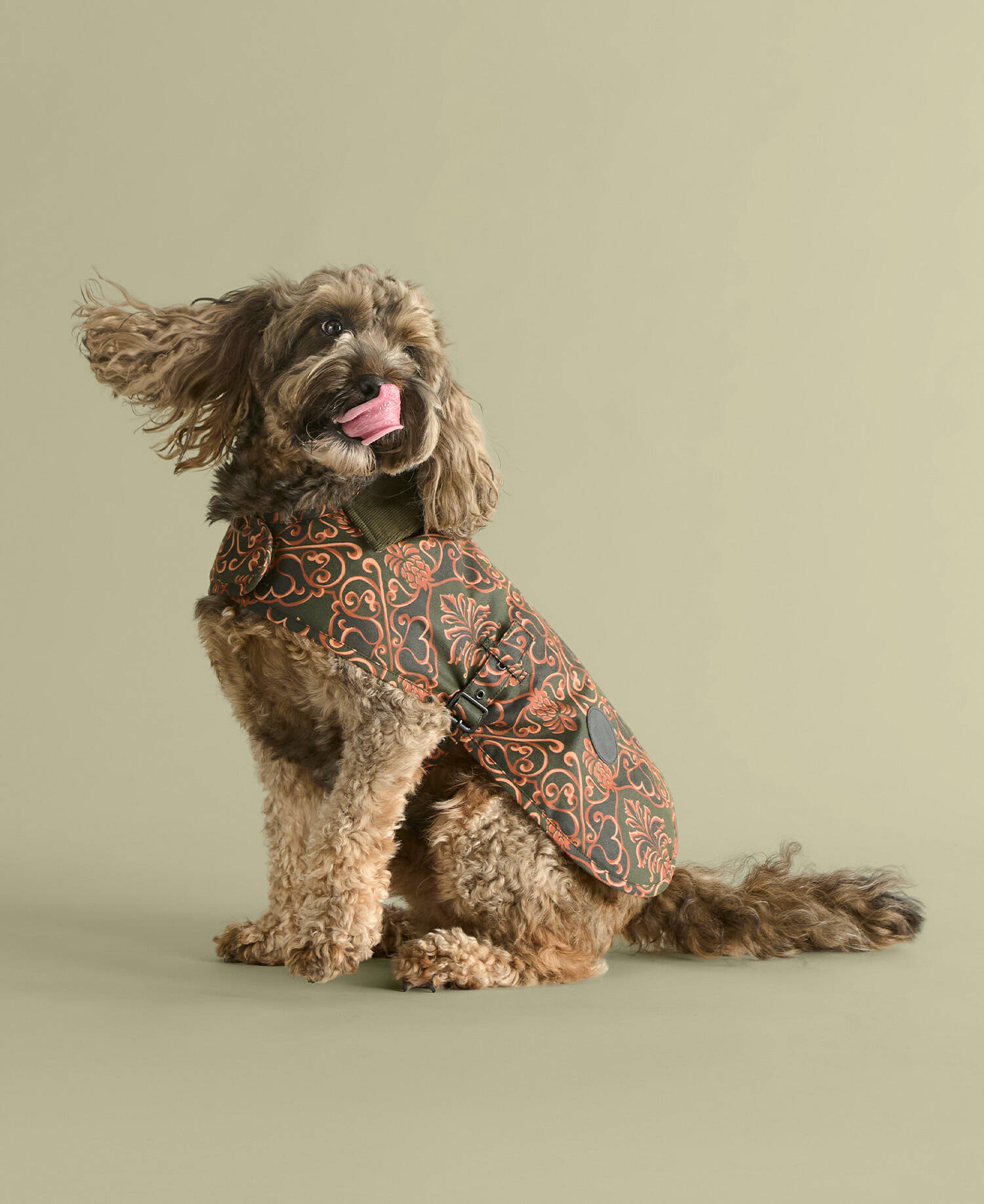 Barbour FARM Rio Pineapple Dog Coat Royal Pineapple image number 0