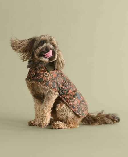 Barbour FARM Rio Pineapple Dog Coat Royal Pineapple