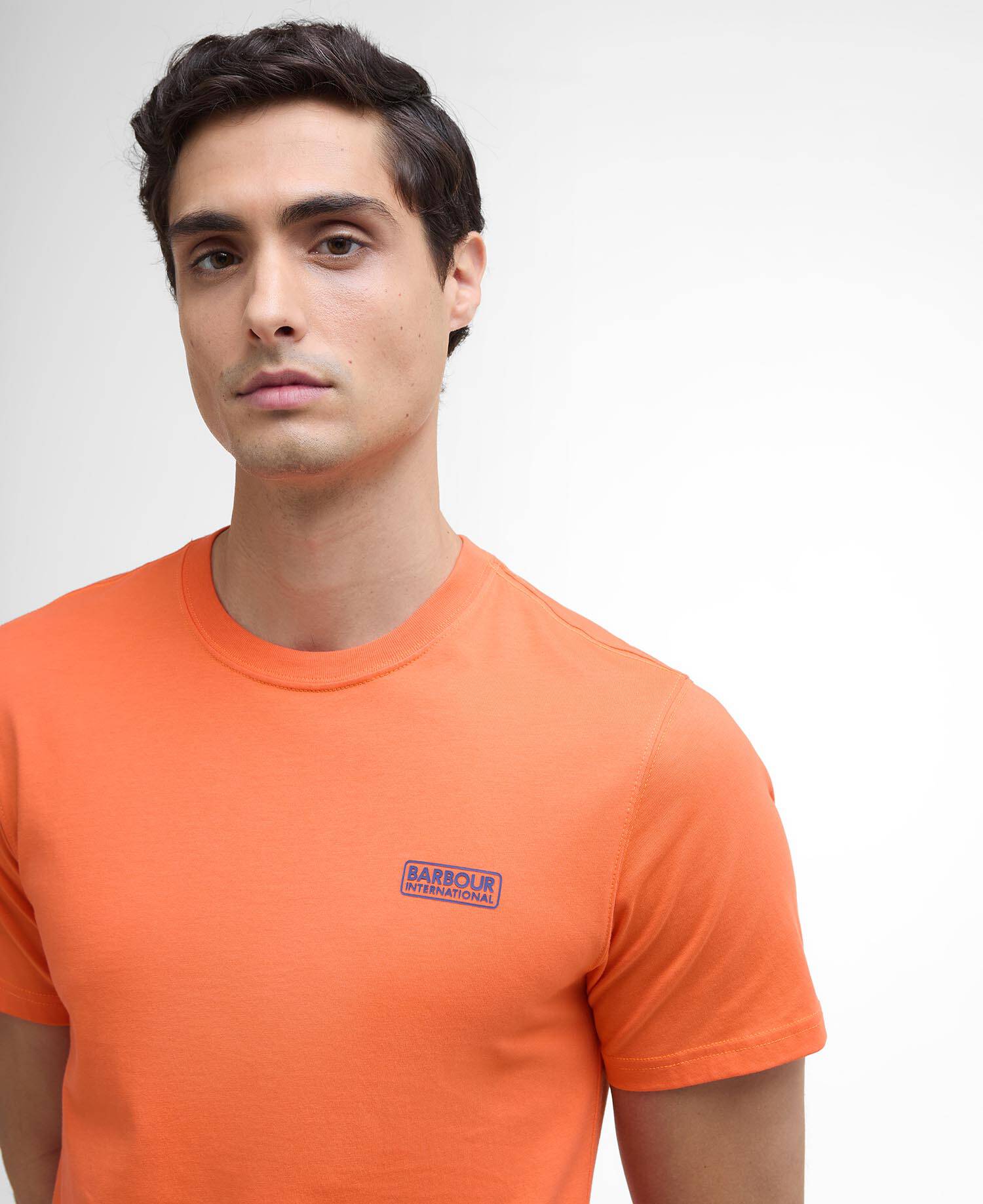 Small Logo T-Shirt image number 3