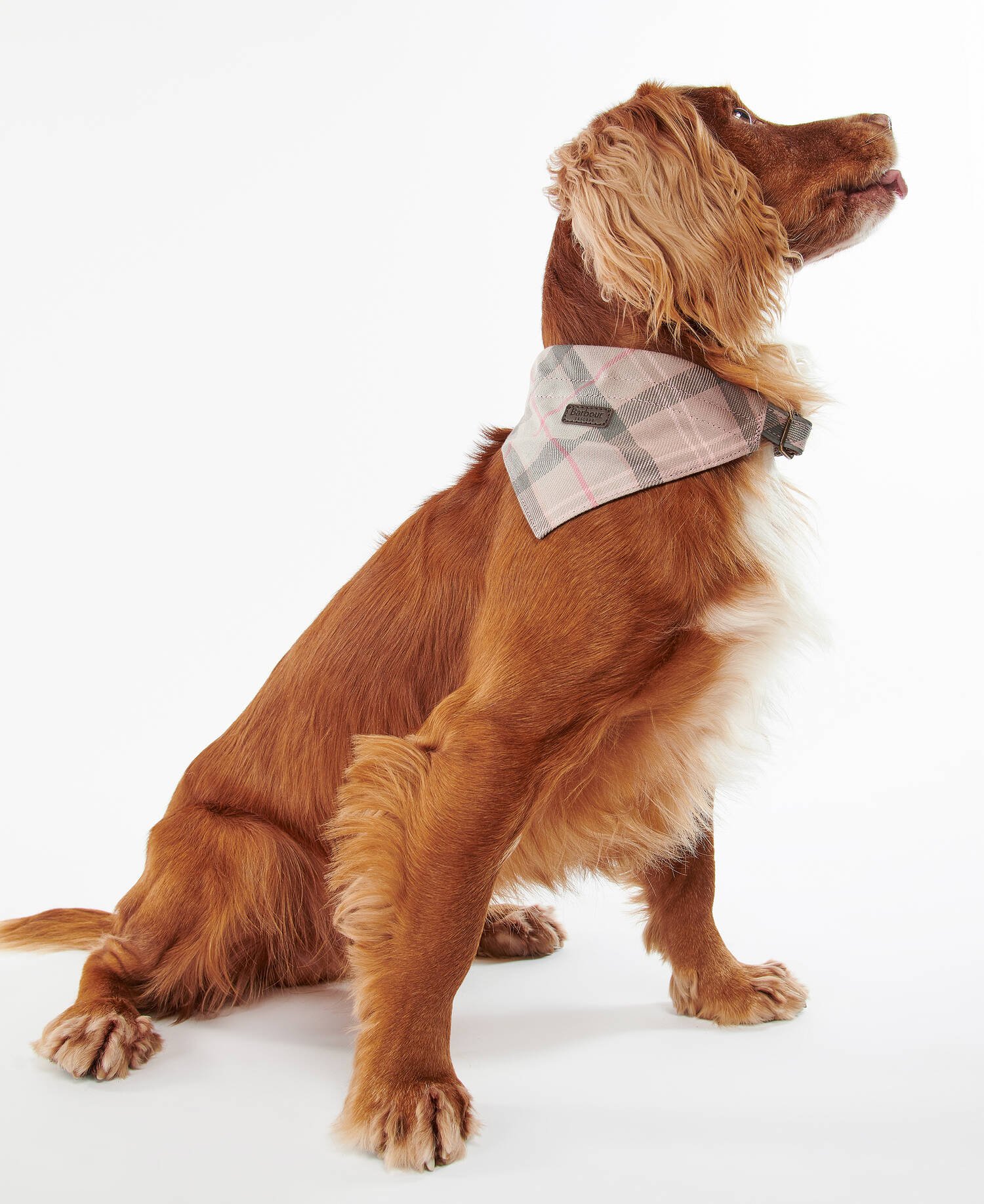 Tartan Bandana image number 0