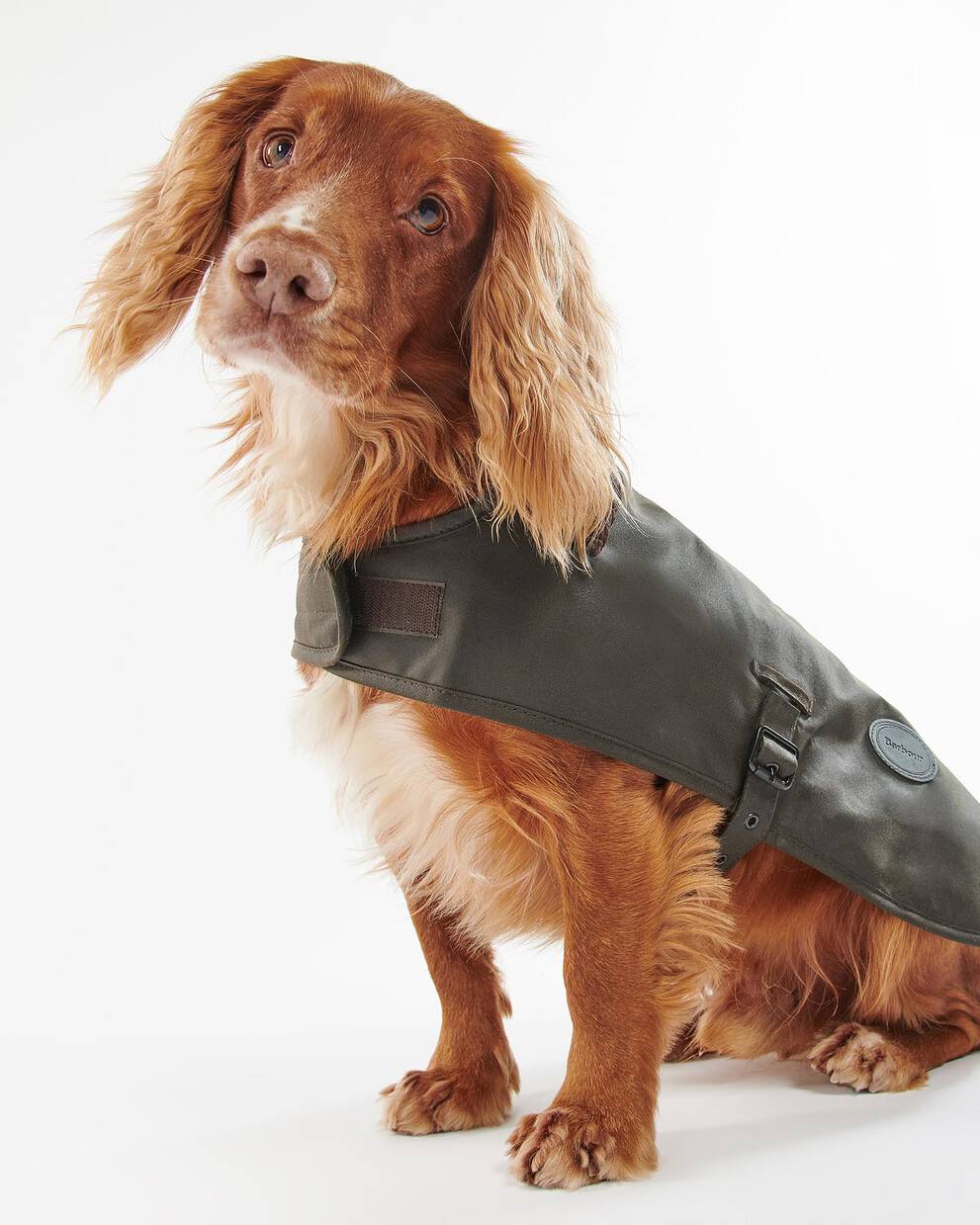 Waxed Dog Coat