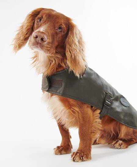 Waxed Dog Coat 