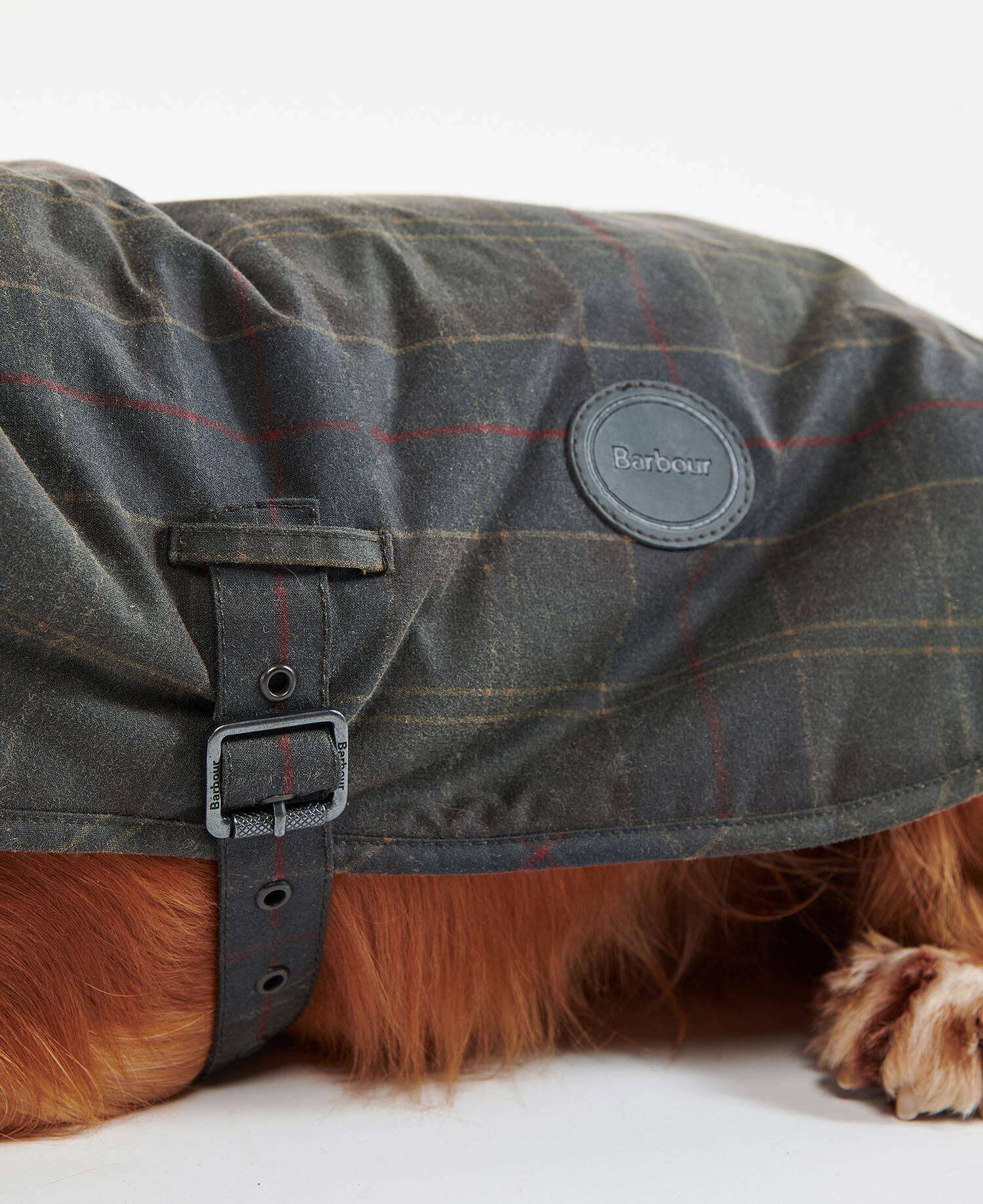 Tartan Waxed Dog Coat image number 4