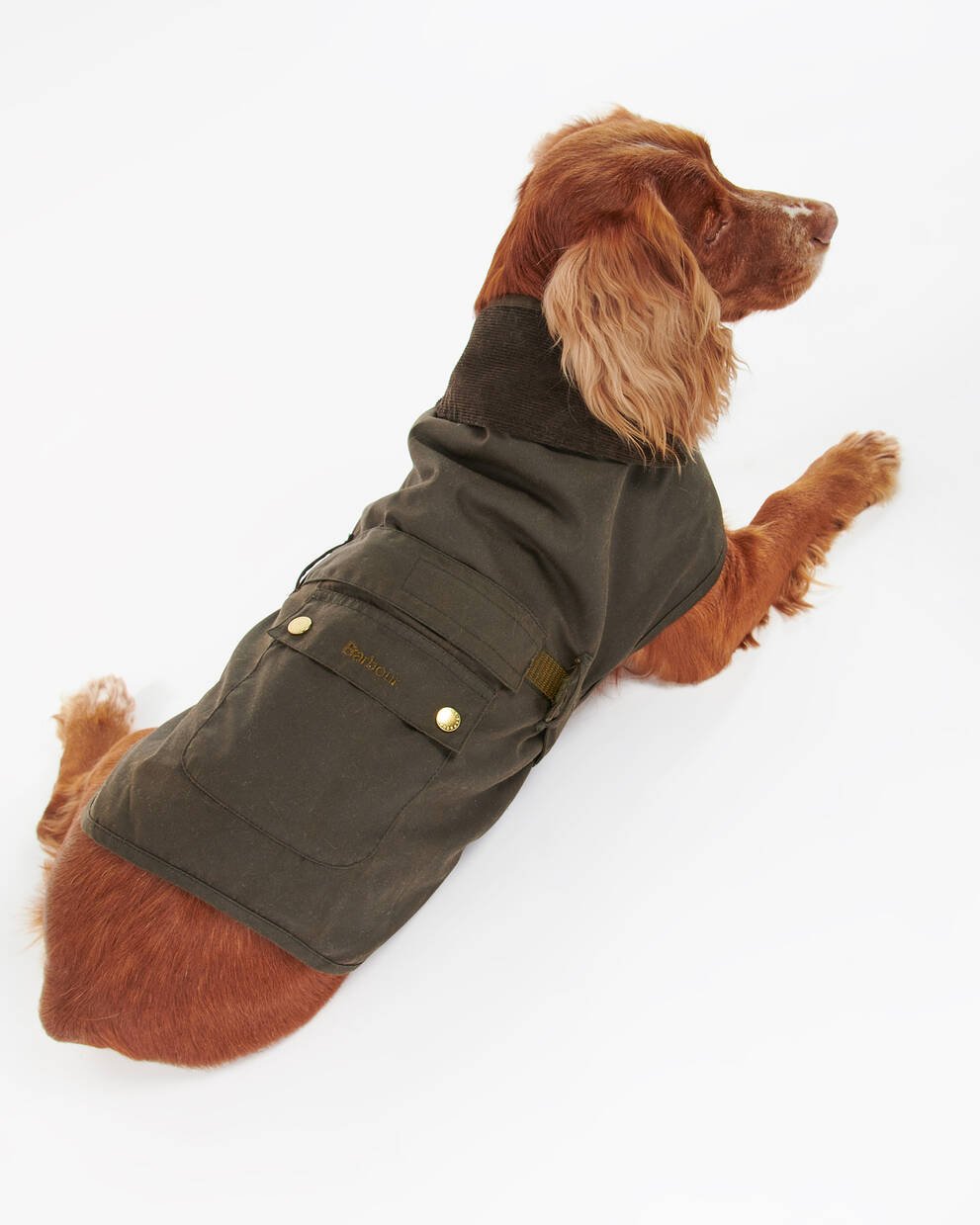 Hundemantel 2 in 1 Wax