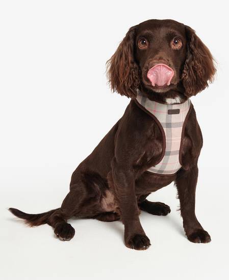 Tartan Dog Harness Taupe-Pink Tartan