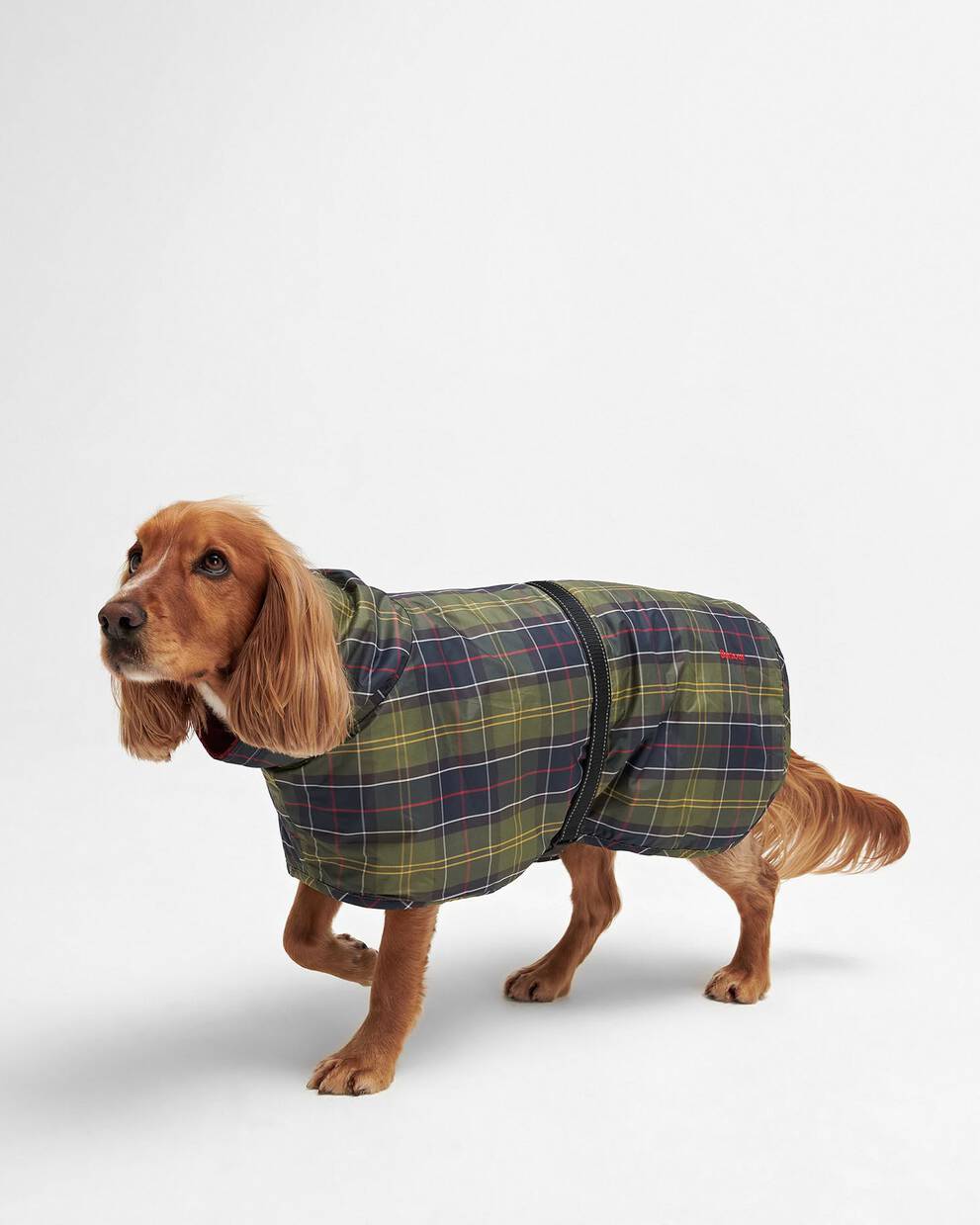 Tartan Dog Drying Robe