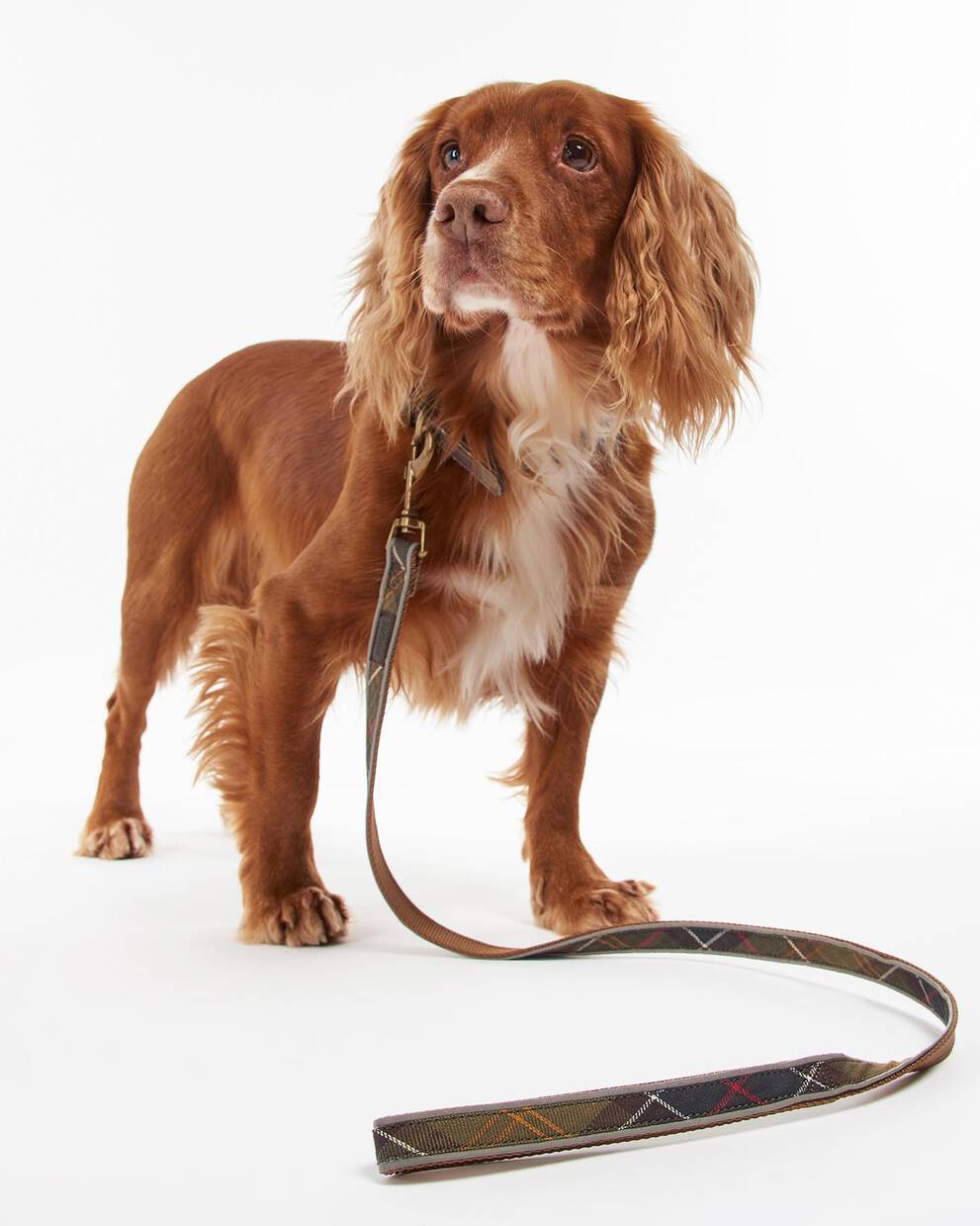 Reflective Tartan Dog Lead