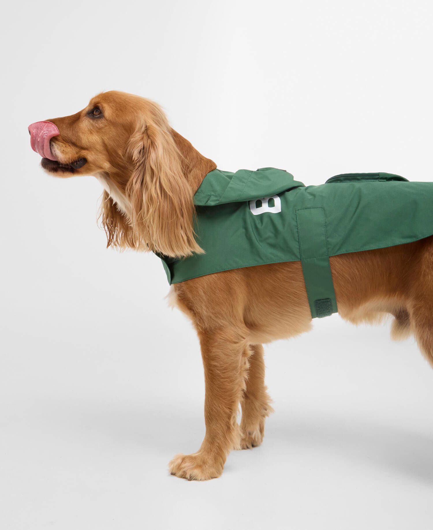 Packable Logo Dog Coat Green image number 1