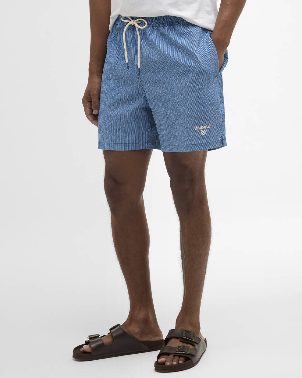 Somerset Pinstripe Swim Shorts