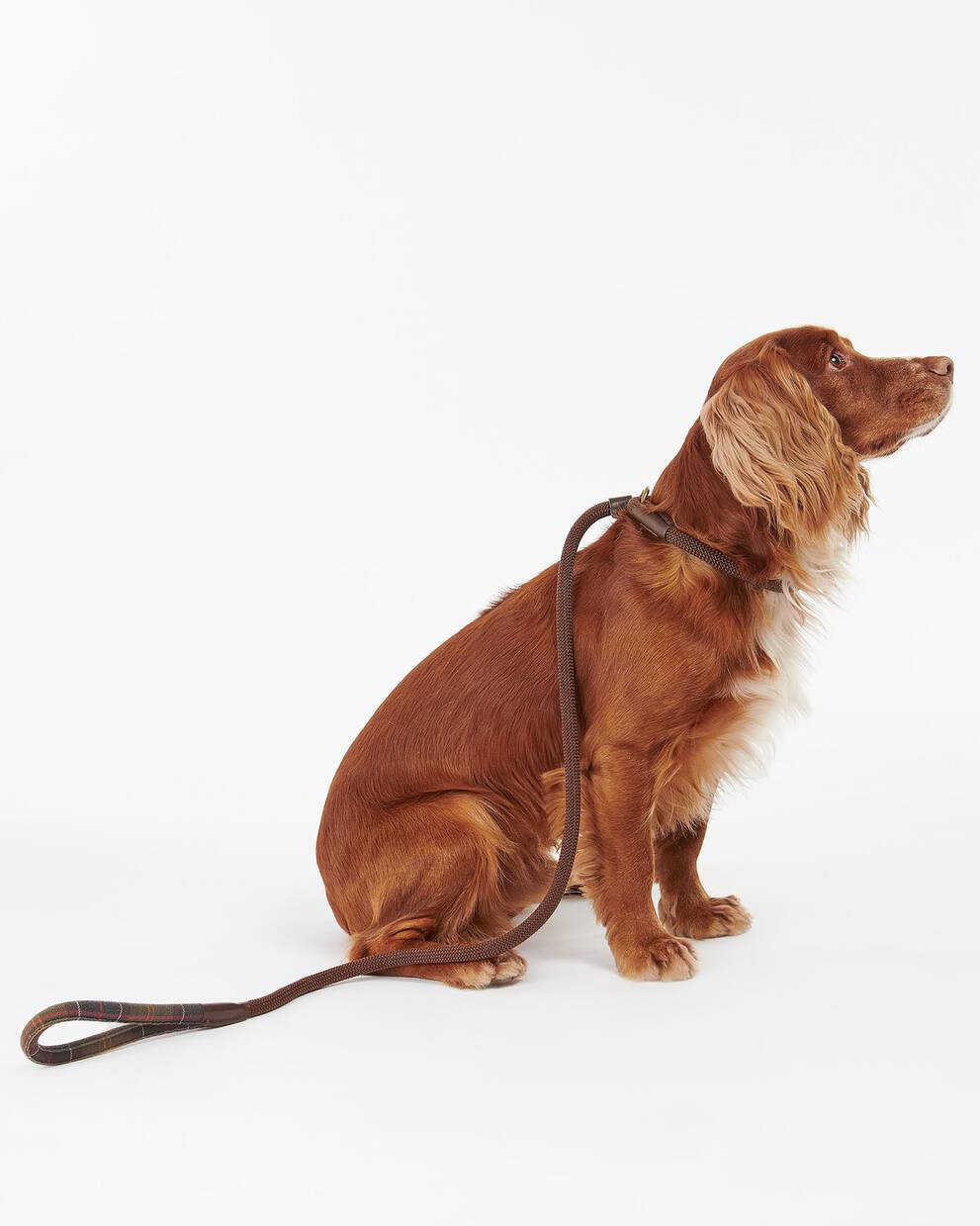 Tartan Trimmed Slip Lead