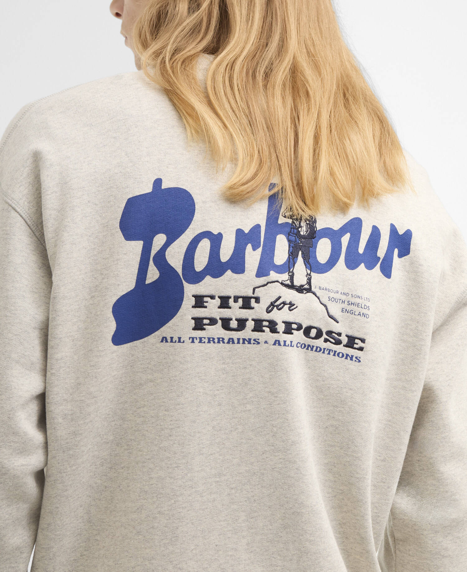 Blythe Crew Neck Jumper Neutral Marl image number 4