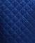 Inky Blueswatch