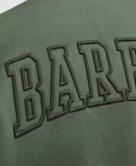 Cragwell Relaxed Half-Zip Sweatshirt Thyme