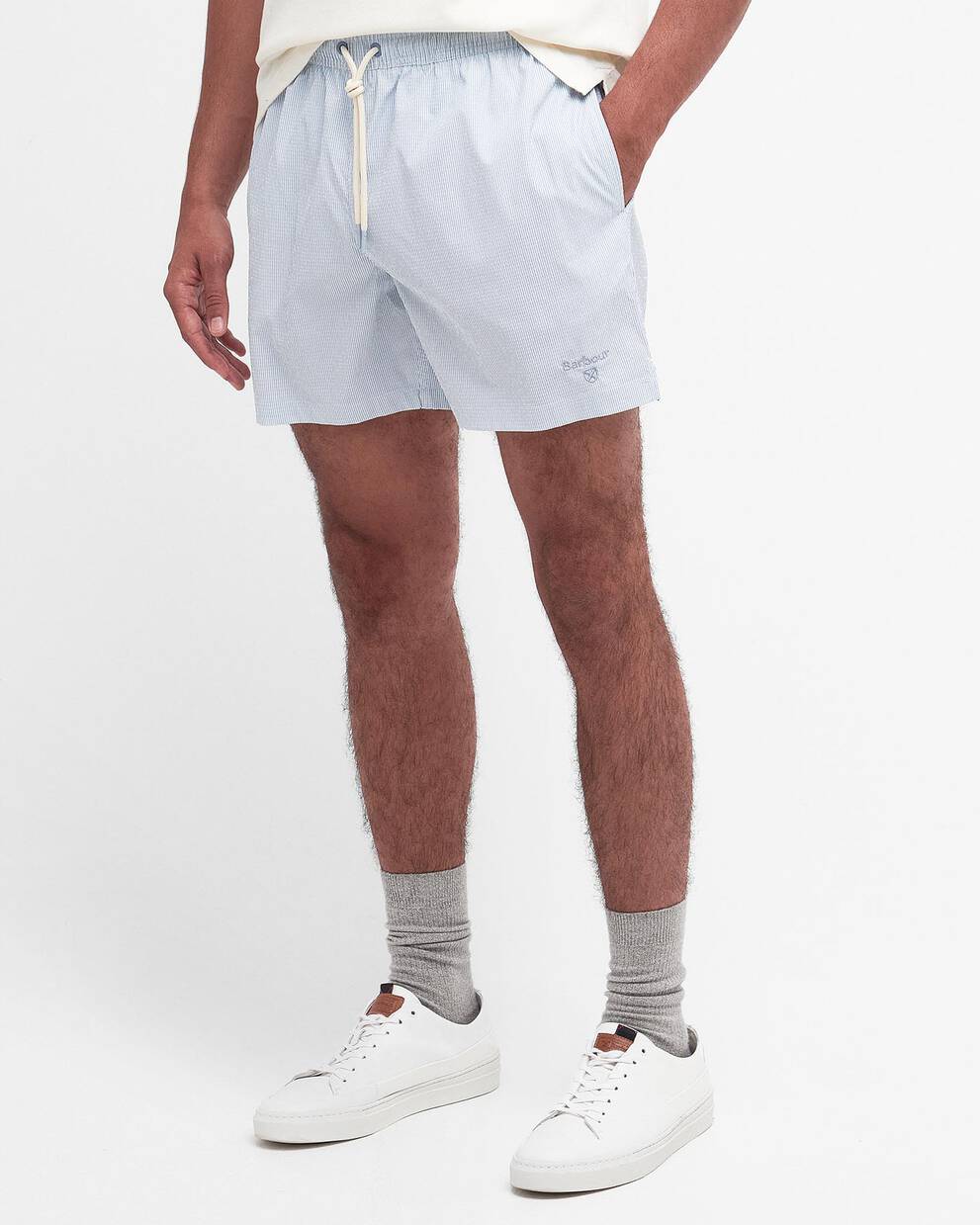 Somerset Pinstripe Swim Shorts