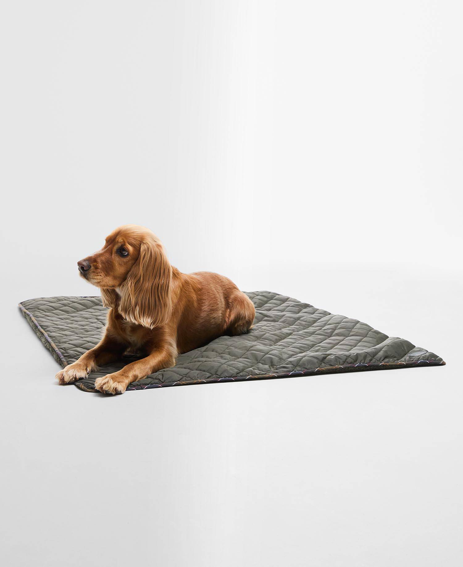 Dog Quilt and Fleece Blanket Olive image number 0