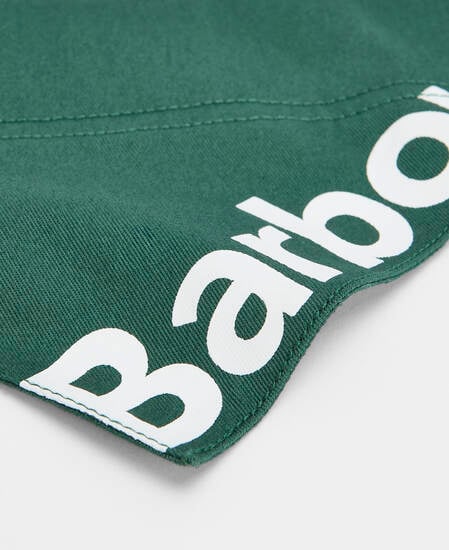 Hundebandana Logo Green