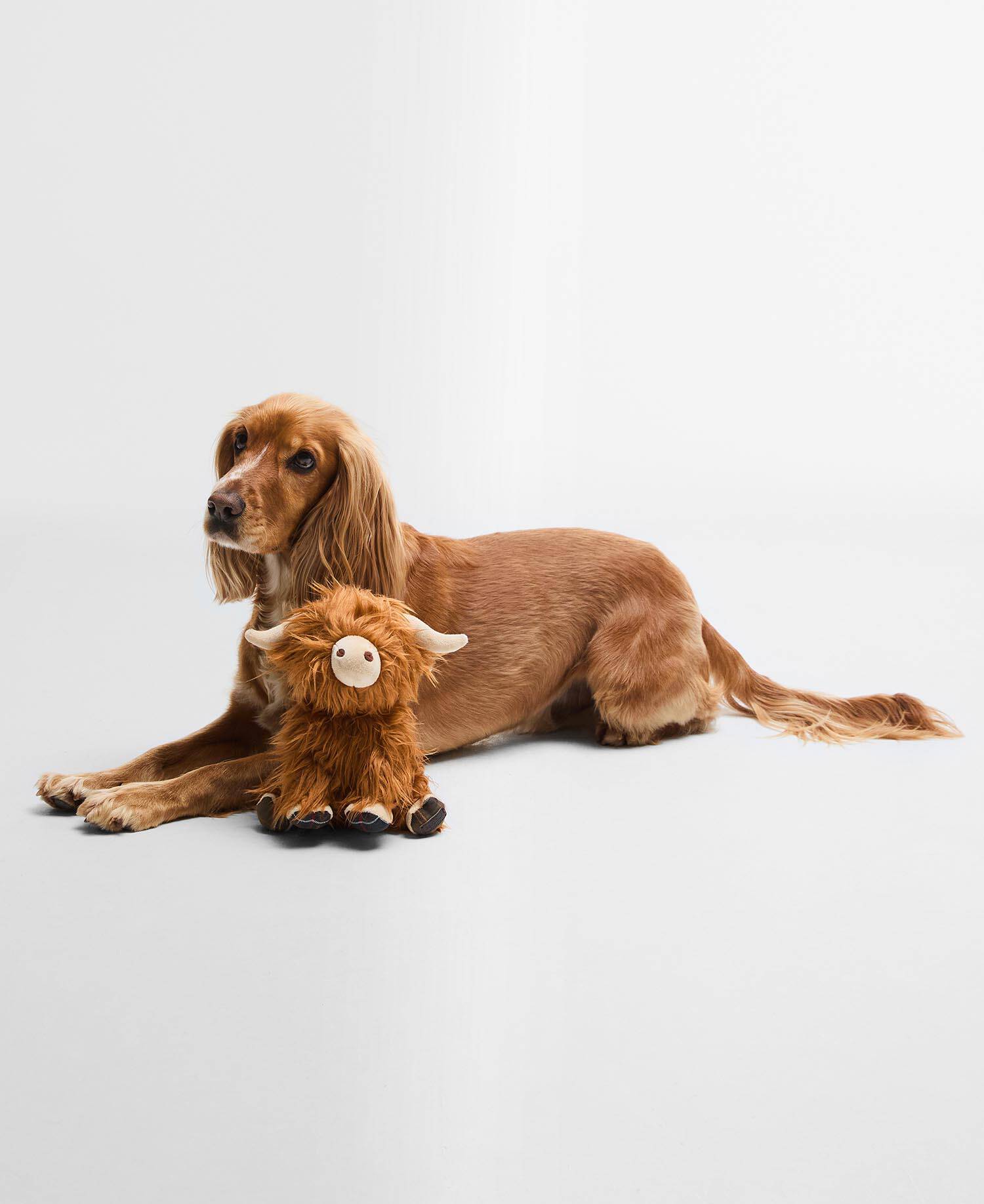 Highland Cow Dog Toy image number 0