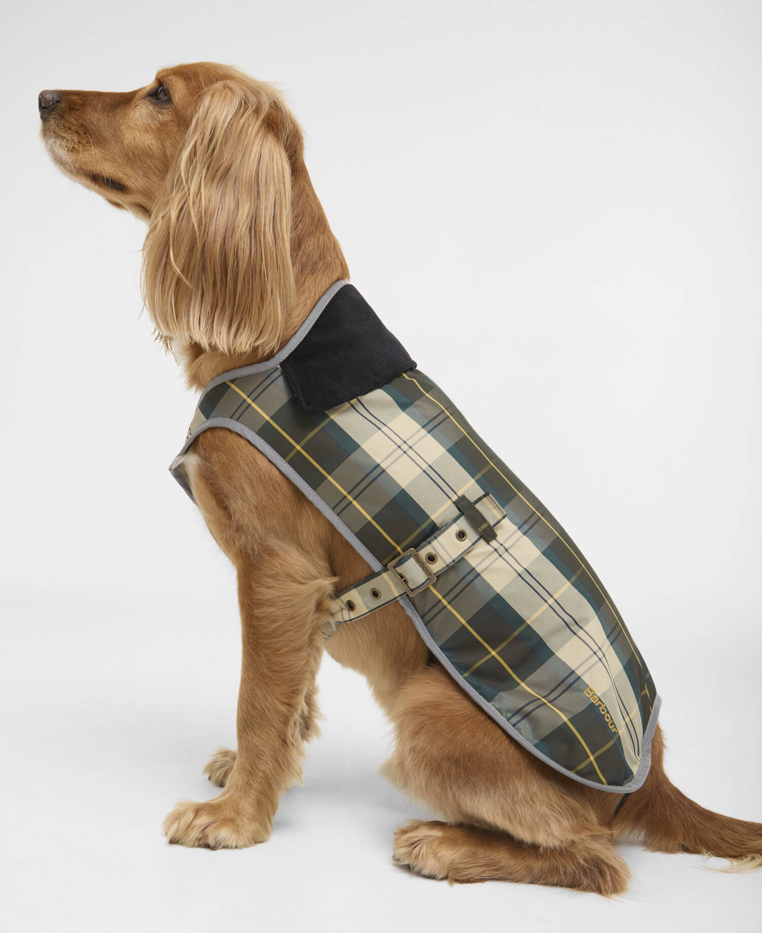 Waterproof Tartan Dog Coat Ancient Tartan image number 1
