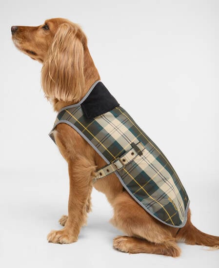 Waterproof Tartan Dog Coat Ancient Tartan