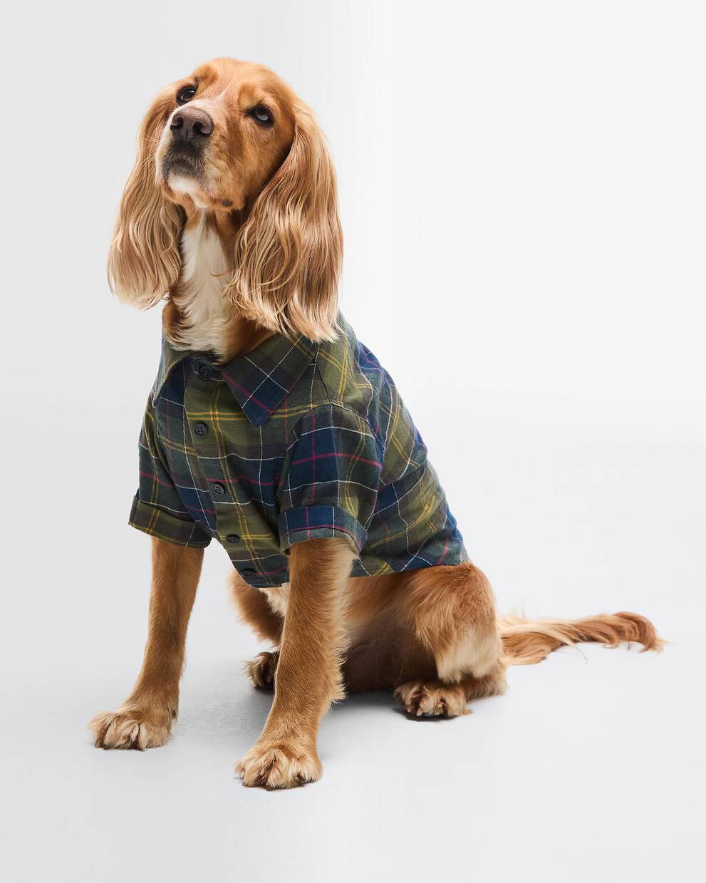 Tartan Fortrose Dog Shirt