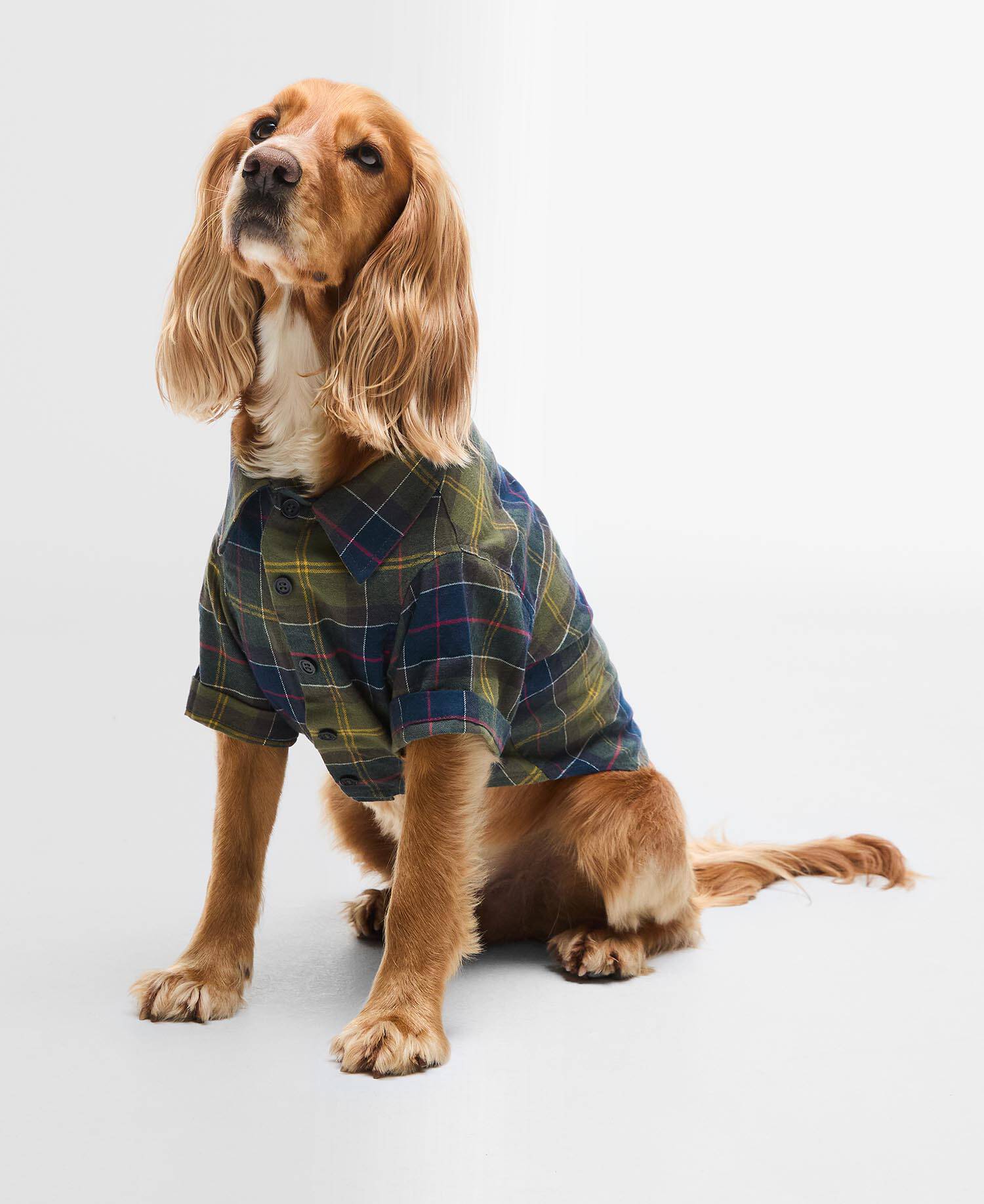 Tartan Fortrose Dog Shirt image number 0