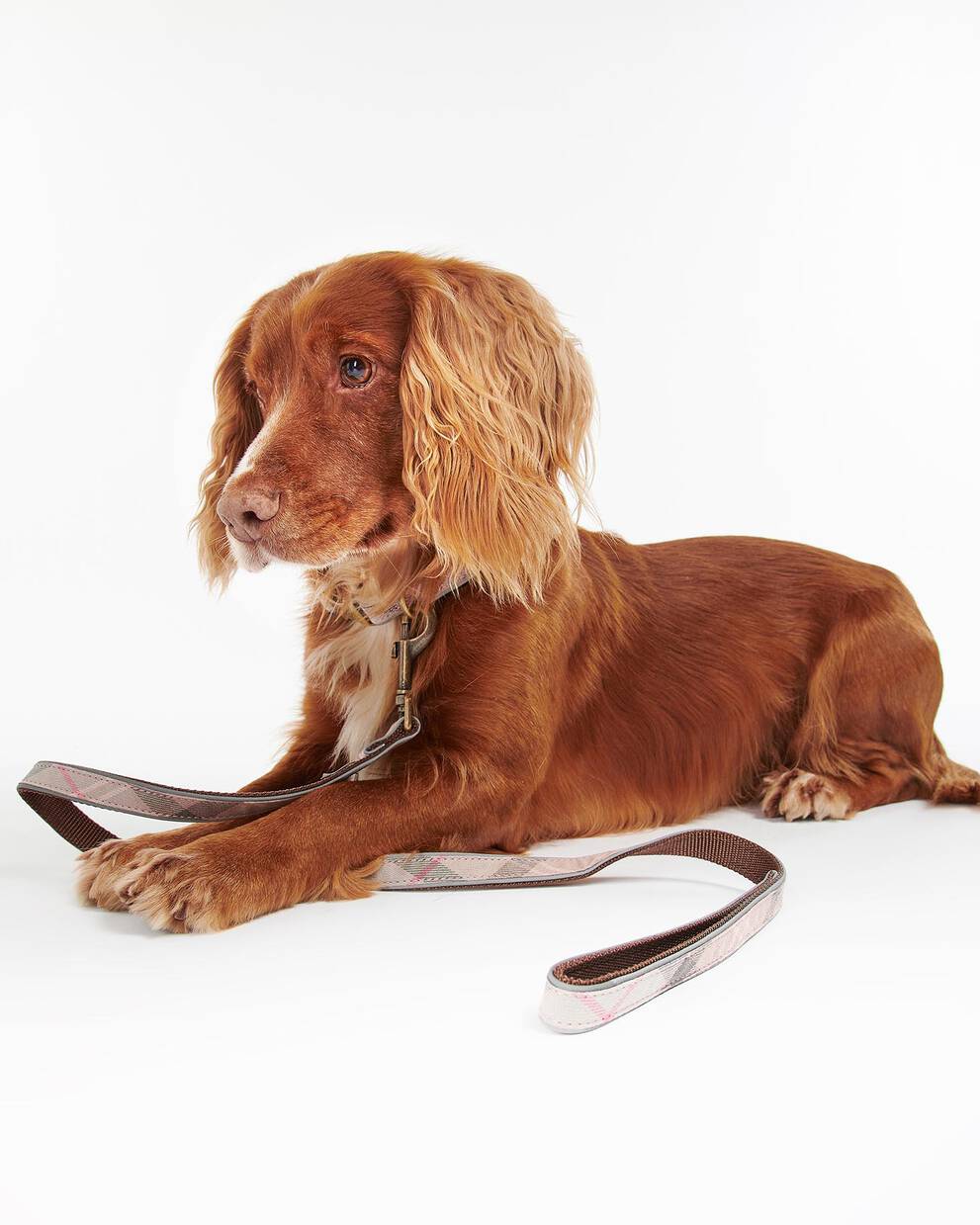 Reflective Tartan Dog Lead