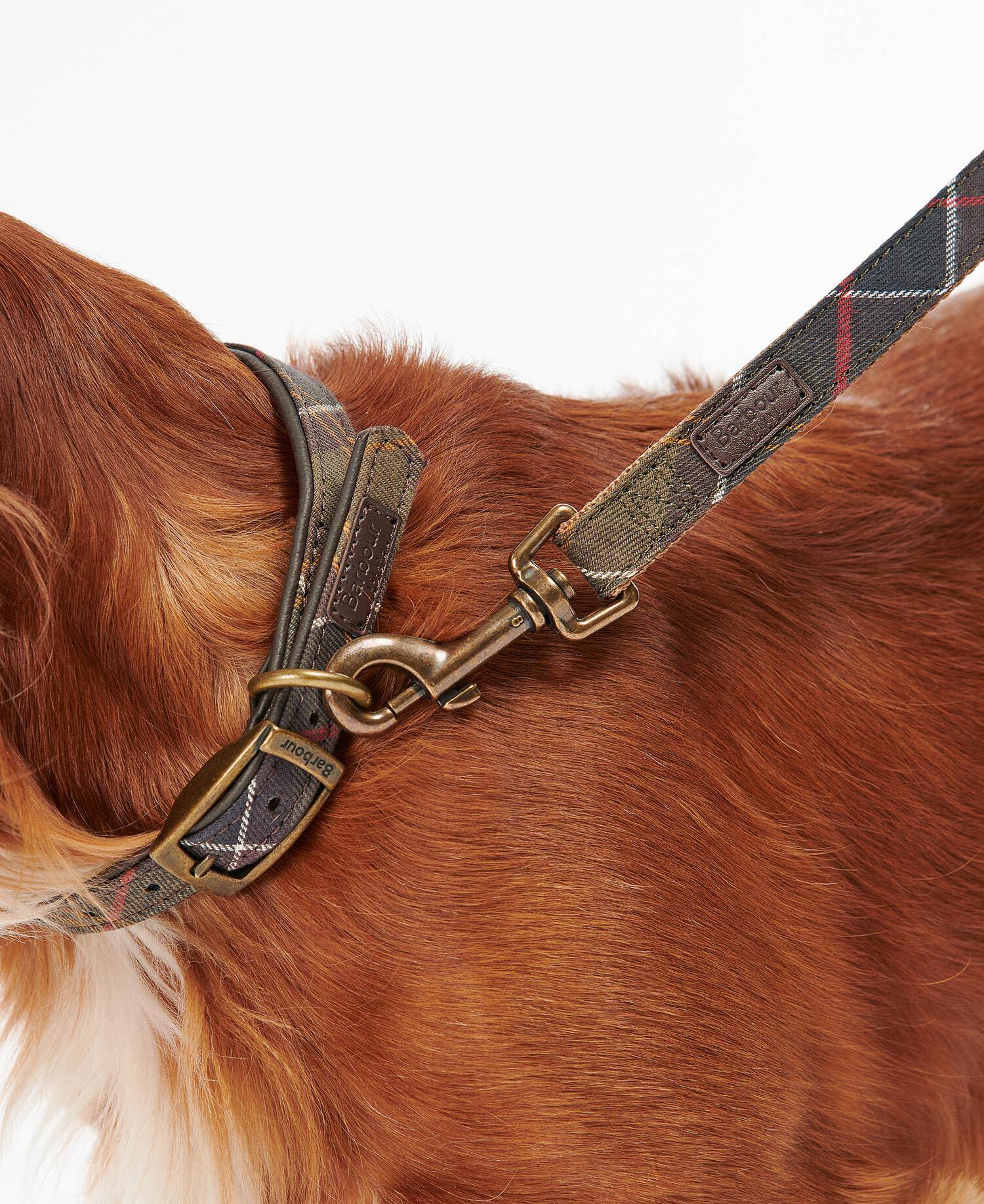 Tartan Webbing Dog Lead Classic Tartan image number 2