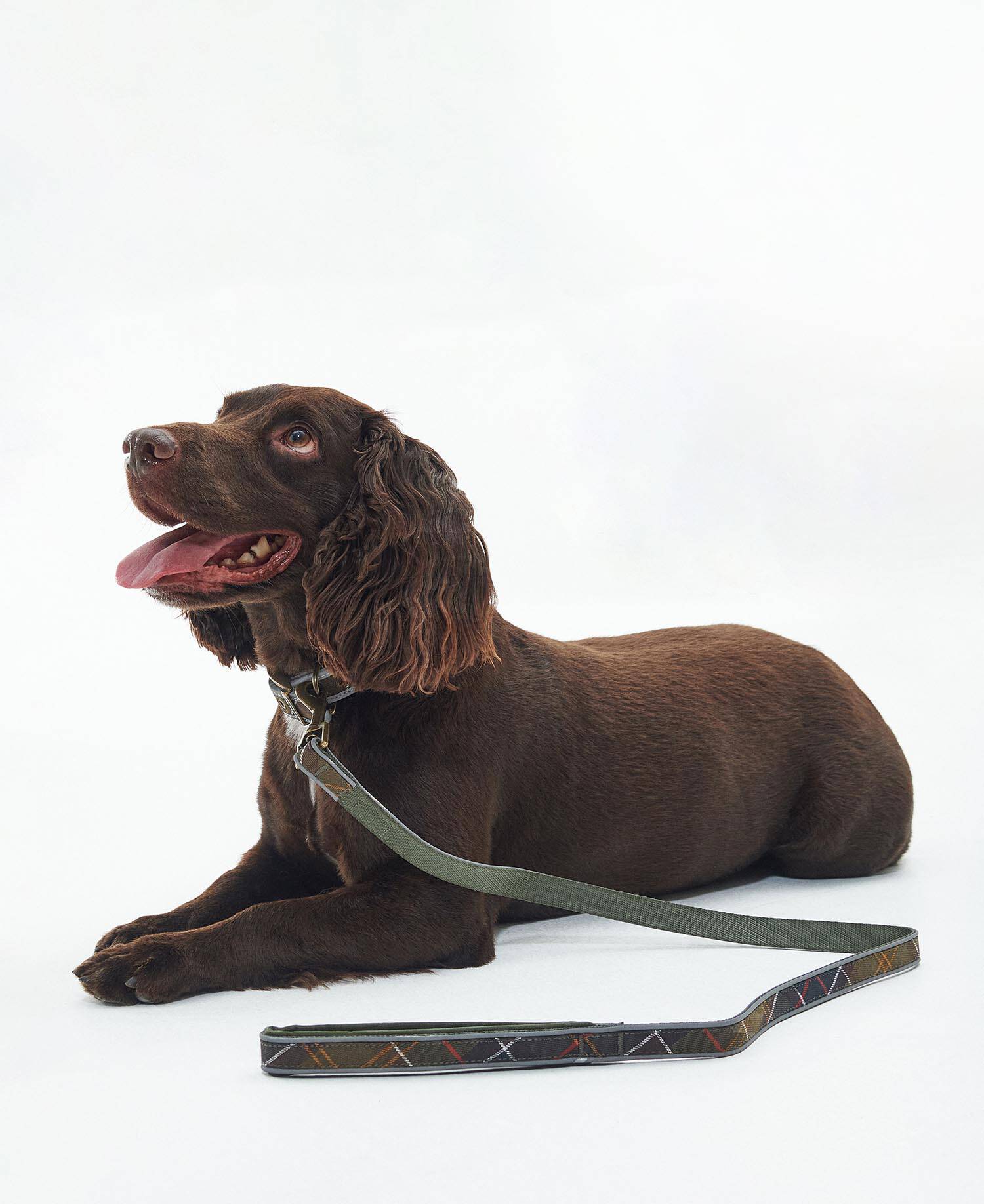 Reflective Tartan Comfort Dog Lead image number 1
