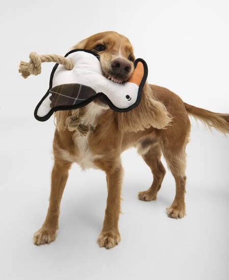 Dog Seabird Toy White