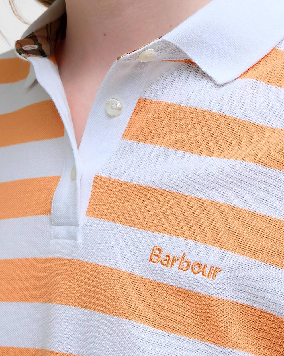 Ashbourne Striped Polo Shirt